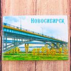 Магнит двусторонний «Новосибирск» - Фото 2