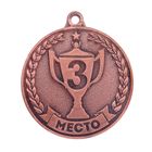 Медаль призовая, 3 место, бронза, d=3,5 см - Фото 1