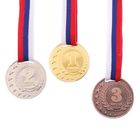 Медаль призовая 064 диам 4 см. 2 место. Цвет сер. С лентой - фото 319848388
