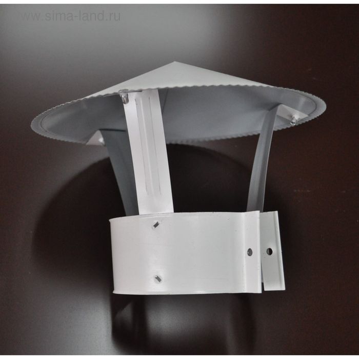 Зонт для дымохода и вентиляции, 0,5, d=100 (мм), с покрытием,  оцинкованная сталь - Фото 1