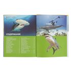 Большая детская энциклопедия. Акулы, киты и дельфины - Фото 5