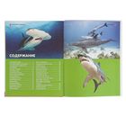 Энциклопедия для детей «Подводный мир: акулы, киты, дельфины» - Фото 5