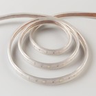 Светодиодная лента Ecola 14 × 7 мм, 10 м, IP68, SMD5050, 30 LED/м, 7.2 Вт/м, 220 В, RGB - Фото 2