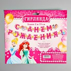 Гирлянда на люверсах "С Днем Рождения!", длина 235 см, Принцессы - Фото 4