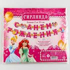 Гирлянда на люверсах "С Днем Рождения!", длина 235 см, Принцессы - Фото 5