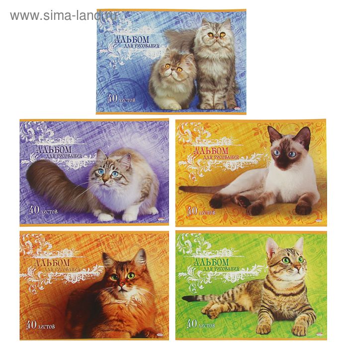 Альбом для рисования А4, 40 листов на скрепке "Кошки на ярком фоне", блок офсет 100 г/м2, МИКС - Фото 1