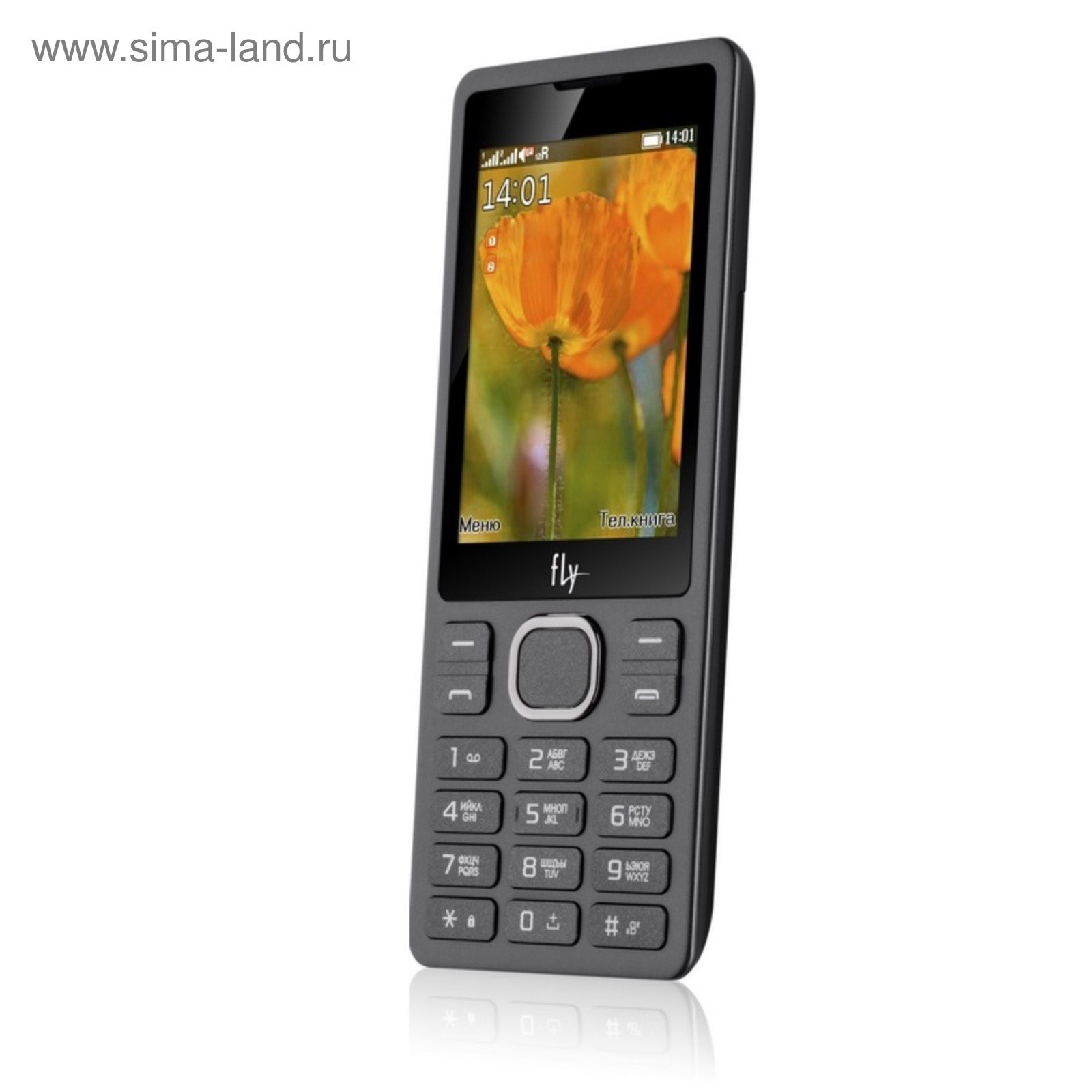 Сотовый телефон Fly FF282 Black, 2 sim, 32 Мб