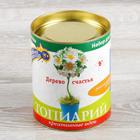 Набор для создания топиария малого «Ромашки» - Фото 3