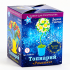 Набор для создания топиария малого «Ромашки» - Фото 4