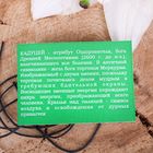 Амулет «Жезл Гермеса (Меркурия)» оздоравливающий и приносящий достаток, 68см - Фото 3