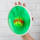 Игра «Липучка», набор: 2 тарелки, мяч, цвета МИКС - Фото 2