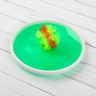 Игра «Липучка», набор: 2 тарелки, мяч, цвета МИКС - Фото 3