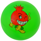 Мяч детский «Ассорти», d=22 см, 60 г, цвет МИКС - фото 8556010