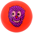 Мяч детский «Ассорти», d=22 см, 60 г, цвет МИКС - фото 3801878