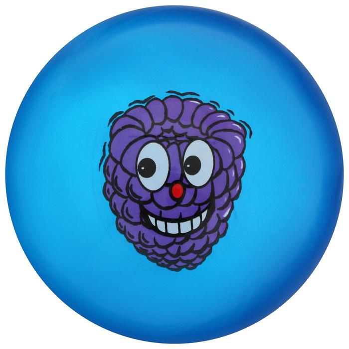 Мяч детский «Ассорти», d=22 см, 60 г, цвет МИКС - фото 1905411603