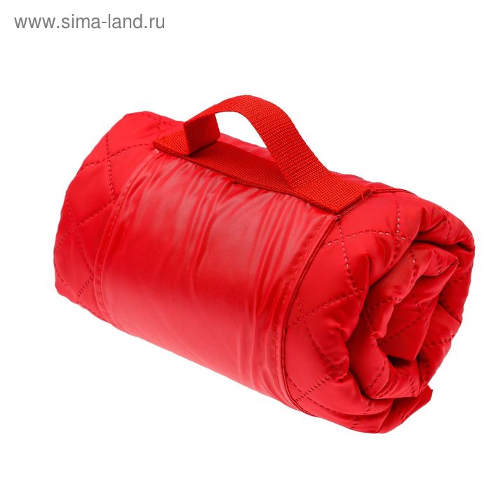 Плед флисовый для пикника водонепроницаемый PICNIC BAGS, размер 115 х 140 см 180г/м - Фото 1