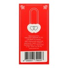 Замок навесной «АЛЛЮР» Сердечко, 240×24 мм, 2 ключа, латунь - Фото 7