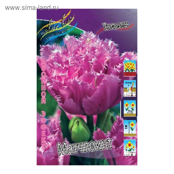 Грейт барьер риф тюльпан фото Грейт барьер риф тюльпан фото