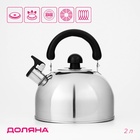Чайник Доляна «Чёрная ночь», 2 л, со свистком, индукция, нержавеющая сталь, хромированный - Фото 1