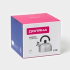 Чайник Доляна «Чёрная ночь», 2 л, со свистком, индукция, нержавеющая сталь, хромированный - Фото 15