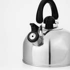 Чайник Доляна «Чёрная ночь», 2 л, со свистком, индукция, нержавеющая сталь, хромированный - Фото 3