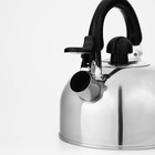 Чайник Доляна «Чёрная ночь», 2 л, со свистком, индукция, нержавеющая сталь, хромированный - Фото 4