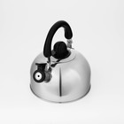 Чайник Доляна «Чёрная ночь», 2 л, со свистком, индукция, нержавеющая сталь, хромированный - Фото 5