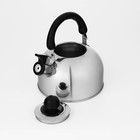 Чайник Доляна «Чёрная ночь», 2 л, со свистком, индукция, нержавеющая сталь, хромированный - Фото 6