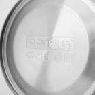 Чайник Доляна «Чёрная ночь», 2 л, со свистком, индукция, нержавеющая сталь, хромированный - Фото 9