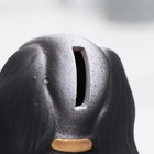 Копилка для денег «Пудель», керамика, чёрно-белый, 12×7×15 см - Фото 4