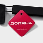 Вешалка для брюк и юбок Доляна, 29×13 см, с зажимами, чёрная - Фото 4