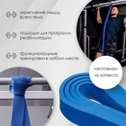 Эспандер ленточный многофункциональный ONLYTOP, 208х2,2х0,5 см, 5-22 кг, цвет синий - фото 3801995