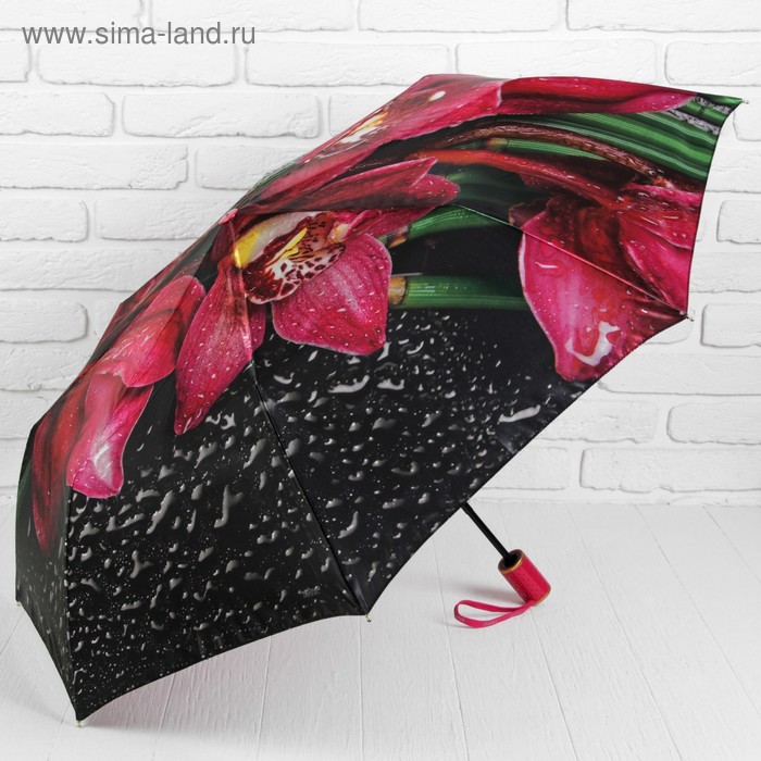 Вайлдберриз зонты женские. Зонт женский с маками. Черный зонт с орхидеями. Зонт Diniya. Зонт женский черный с розовыми сердечками.
