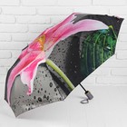 Зонт полуавтоматический «Лилия», 3 сложения, 8 спиц, R = 51,5 см, цвет розовый/серый - Фото 1