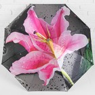 Зонт полуавтоматический «Лилия», 3 сложения, 8 спиц, R = 51,5 см, цвет розовый/серый - Фото 2