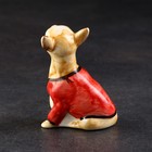 Статуэтка фарфоровая "Чихуа-хуа красная маечка", 8х5х4 см, авторская роспись - Фото 3