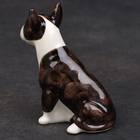 Статуэтка фарфоровая "Бультерьер чёрно-белый", 10 см, авторская роспись - фото 24584600