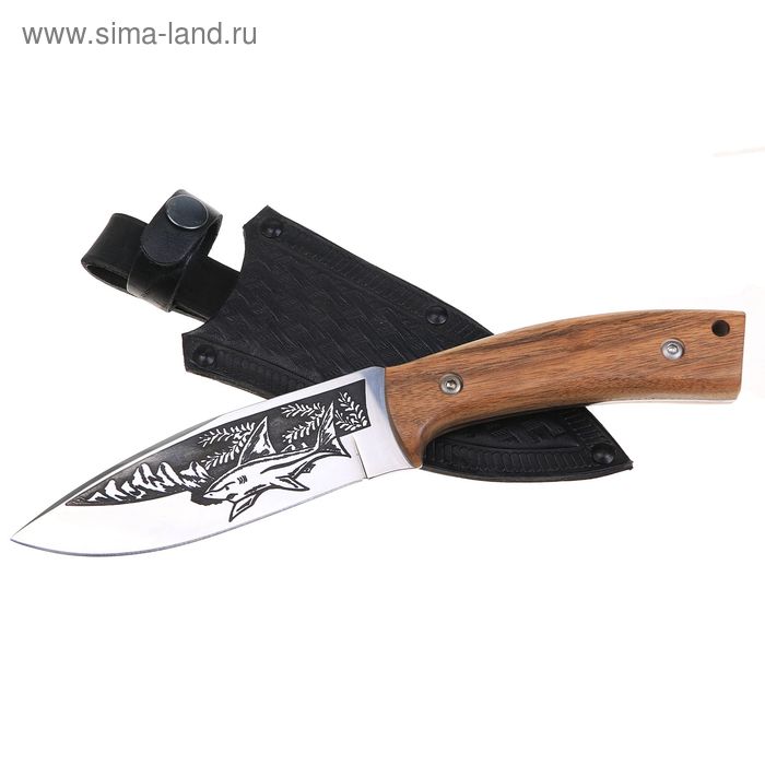 Нож туристический "Акула-2" - 50631, сталь AUS8, с худ.оформлением,  г. Кизляр - Фото 1