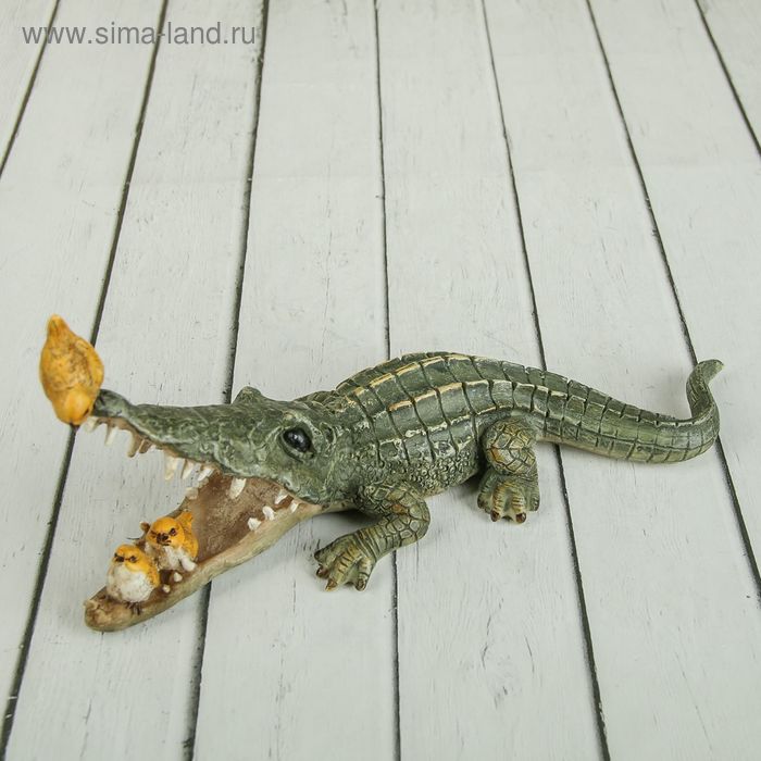 Сувенир "Крокодилу проверяют зубки" 22х7,5х8,5 см - Фото 1