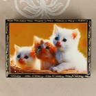 Шкатулка «Котята», 11×16 см, лаковая миниатюра - Фото 2