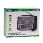 Радиоприемник Ritmix RPR-065 GRAY, функция MP3-плеера, фонарь - фото 9162493