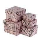 Набор коробок 5в1 "Моноциклы на розовом", 12 х 12 х 9 - 6 х 6 х 3 см - Фото 1