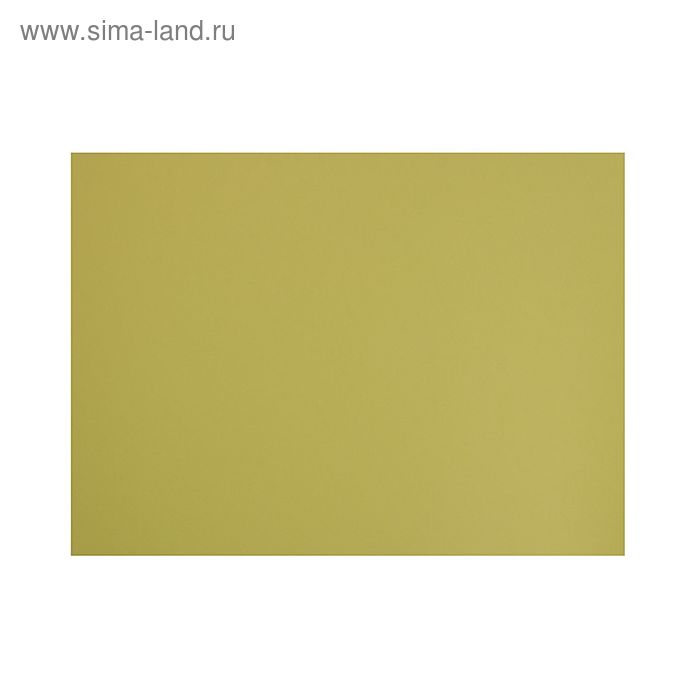 Бумага для пастели 500x650 мм Canson Mi-Teintes №107, 1 лист, 160 г/м², зелёный анис - Фото 1