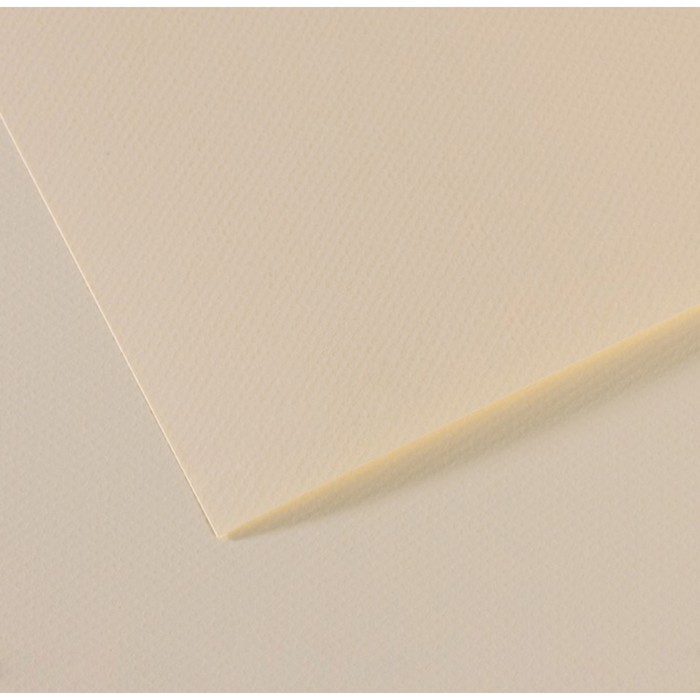 Бумага для пастели Mi-Teintes CANSON, 50 х 65 см, 1 лист, №110 Лилия, 160 г/м2