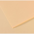 Бумага для пастели Mi-Teintes CANSON, 50 х 65 см, 1 лист, №111 Слоновая кость, 160 г/м2 - фото 8557828