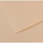 Бумага для пастели Mi-Teintes CANSON, 50 х 65 см, 1 лист, №112 Желтая скорлупа, 160 г/м2 - фото 8557830