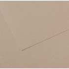 Бумага для пастели Mi-Teintes CANSON, 50 х 65 см, 1 лист, №122 Серая фланель, 160 г/м2 - фото 8557836