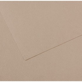 Бумага для пастели Mi-Teintes CANSON, 50 х 65 см, 1 лист, №122 Серая фланель, 160 г/м2