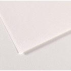 Бумага для пастели Mi-Teintes CANSON, 50 х 65 см, 1 лист, №335 Белый, 160 г/м2 - фото 8557842