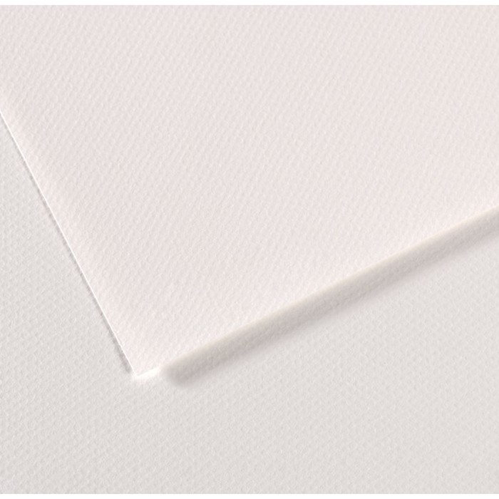 Бумага для пастели Mi-Teintes CANSON, 50 х 65 см, 1 лист, №335 Белый, 160 г/м2 - Фото 1